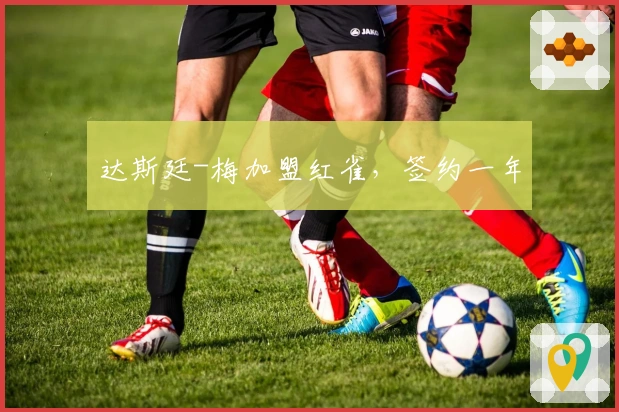 达斯廷-梅加盟红雀，签约一年